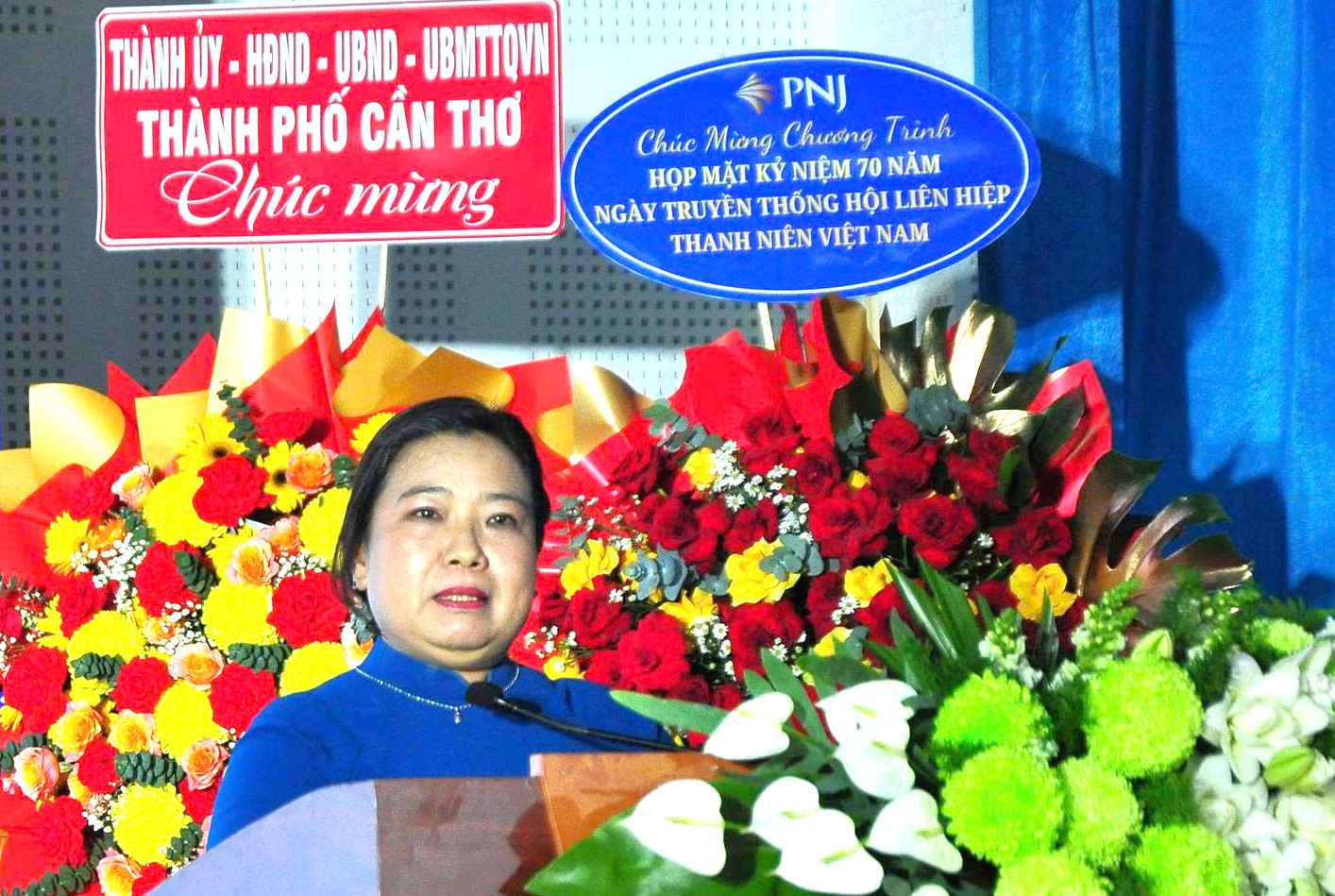 Họp mặt kỷ niệm 70 năm Ngày truyền thống Hội Liên hiệp Thanh niên Việt Nam